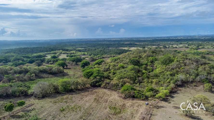 ¡Reducción de Precio! Terreno de 6 Hectáreas en Venta en Las Tablas, Los Santos – cs id: 281662