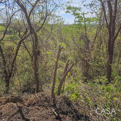 ¡Reducción de Precio! Terreno de 6 Hectáreas en Venta en Las Tablas, Los Santos – cs id: 281662