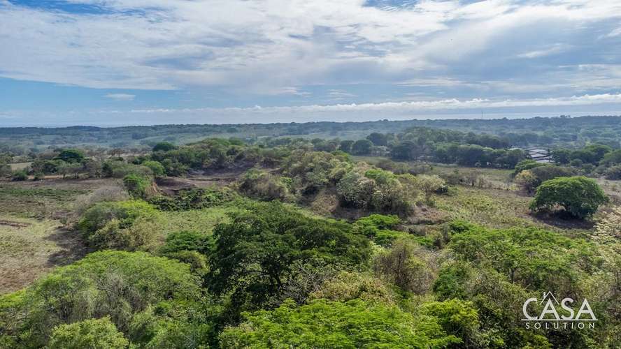 ¡Reducción de Precio! Terreno de 6 Hectáreas en Venta en Las Tablas, Los Santos – cs id: 281662