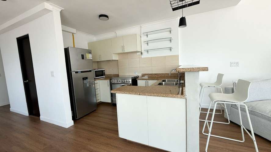 Apartamento Amueblado en Alquiler en Mediterraneo Loft, El Cangrejo - Imagen 9