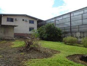 Rio Abajo. 800mts ideal para galera o negocio $475,000.00 - Imagen 3