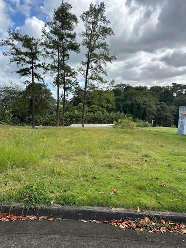 Espectacular terreno en el Campo de Golf en Panamá Provincia, con 988 m² - Imagen 6