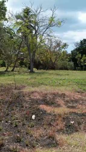 Terreno de esquina en Santa Clara, Río Hato: 13,740 m² con fácil acceso. - Imagen 7
