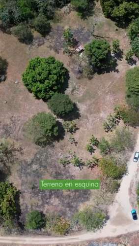 Terreno de esquina en Santa Clara, Río Hato: 13,740 m² con fácil acceso. - Imagen 6