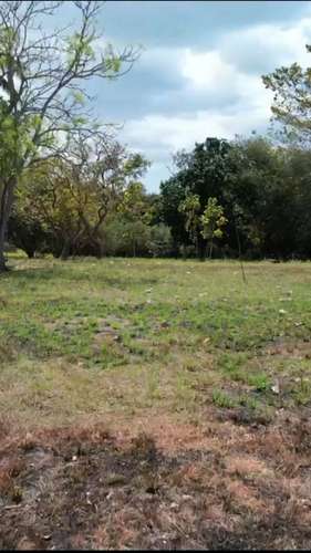 Terreno de esquina en Santa Clara, Río Hato: 13,740 m² con fácil acceso. - Imagen 8