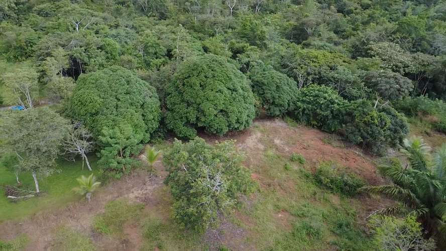 Lotes titulados en La Gloria, Arraiján: 5638 m² para inversión estratégica cerca de escuelas y tráfico. - Imagen 16