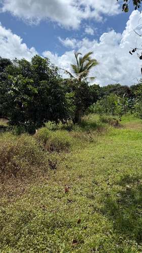 Lotes titulados en La Gloria, Arraiján: 5638 m² para inversión estratégica cerca de escuelas y tráfico. - Imagen 7