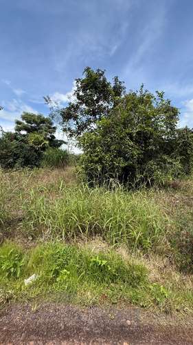 Lotes titulados en La Gloria, Arraiján: 5638 m² para inversión estratégica cerca de escuelas y tráfico. - Imagen 12
