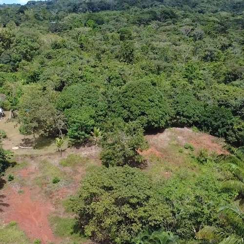 Lotes titulados en La Gloria, Arraiján: 5638 m² para inversión estratégica cerca de escuelas y tráfico.