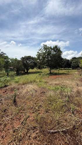Lotes titulados en La Gloria, Arraiján: 5638 m² para inversión estratégica cerca de escuelas y tráfico. - Imagen 14