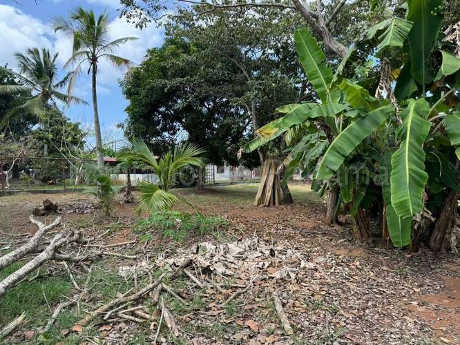 Venta de Terreno en Chorrera DDB26-4487 - Imagen 8