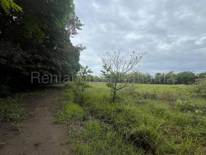 Venta de Terreno en Cocle DDB27-1339 - Imagen 15