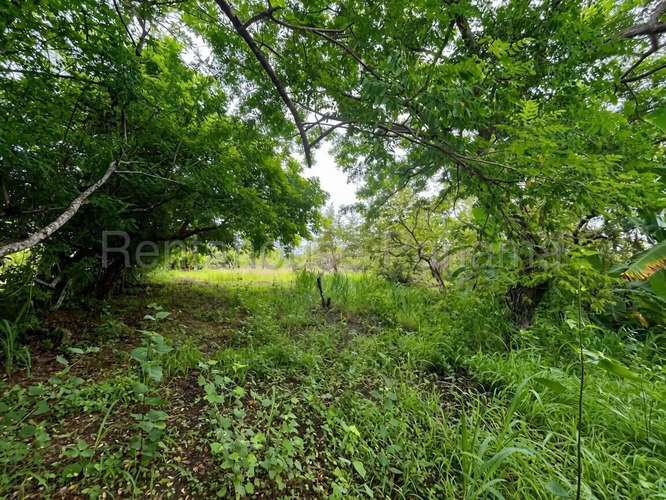 Venta de Terreno en Cocle DDB27-1339 - Imagen 10
