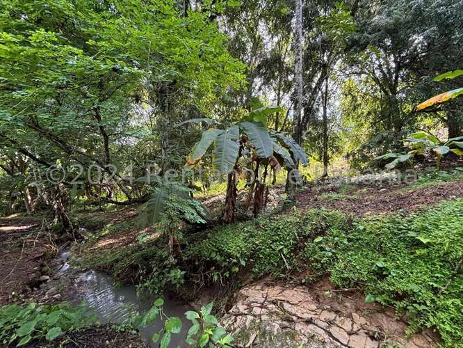 Venta de Terreno en sin direccion Pedernal HQ - Imagen 11