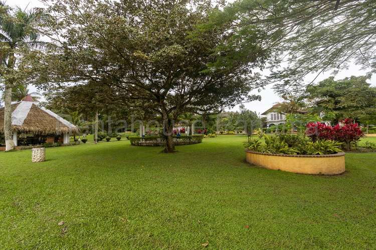 Vendo Casa de 18000m2 en San Carlos Finca Cuba Libre 26-4885SRZ - Imagen 4