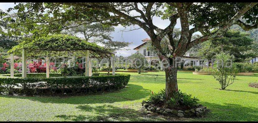 Vendo Casa de 18000m2 en San Carlos Finca Cuba Libre 26-4885SRZ - Imagen 8