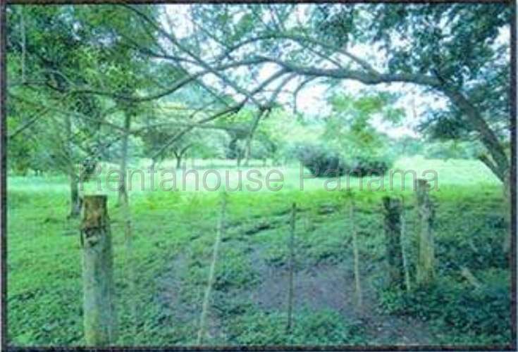 Venta de Terreno en Monte Oscuro 27MGO2813 - Imagen 3