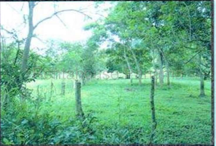Venta de Terreno en Monte Oscuro 27MGO2813 - Imagen 2