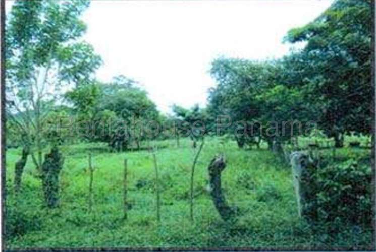 Venta de Terreno en Monte Oscuro 27MGO2813 - Imagen 6