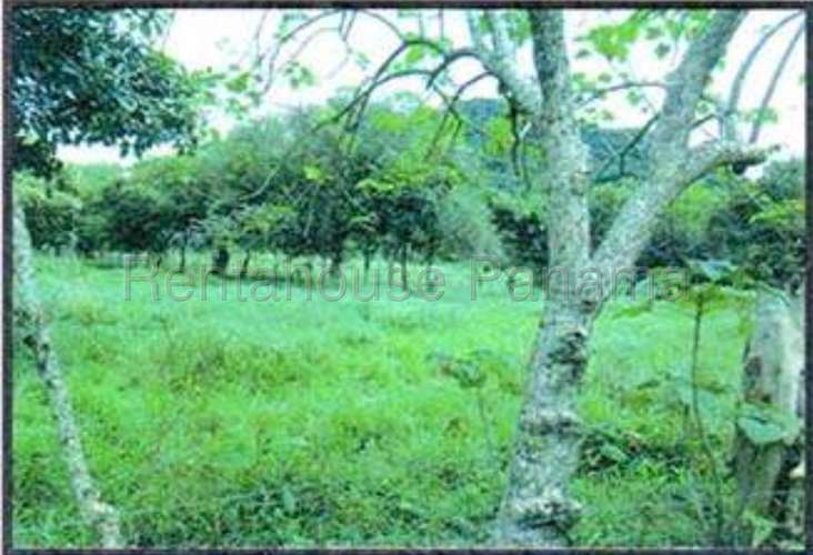 Venta de Terreno en Monte Oscuro 27MGO2813 - Imagen 7