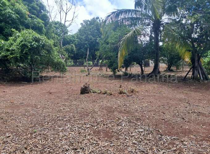 Venta de Terreno en Lagartillo 27MGO2744 - Imagen 4