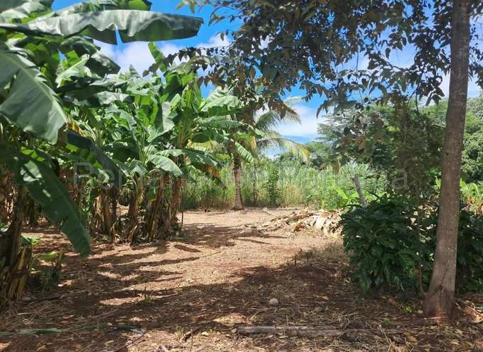 Venta de Terreno en Lagartillo 27MGO2744 - Imagen 8