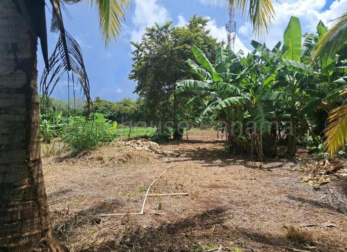 Venta de Terreno en Lagartillo 27MGO2744 - Imagen 6