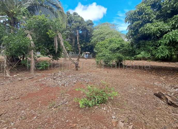 Venta de Terreno en Lagartillo 27MGO2744 - Imagen 3
