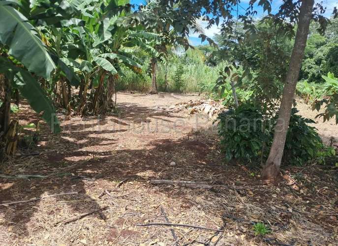 Venta de Terreno en Lagartillo 27MGO2744 - Imagen 7