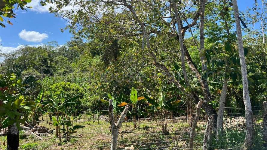 Venta de Terreno en Chorrera 26MGO7221 - Imagen 10