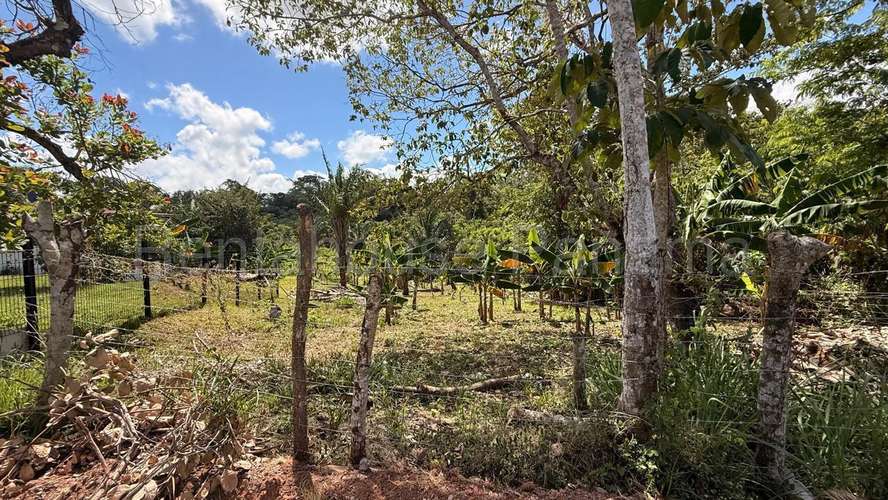 Venta de Terreno en Chorrera 26MGO7221 - Imagen 5