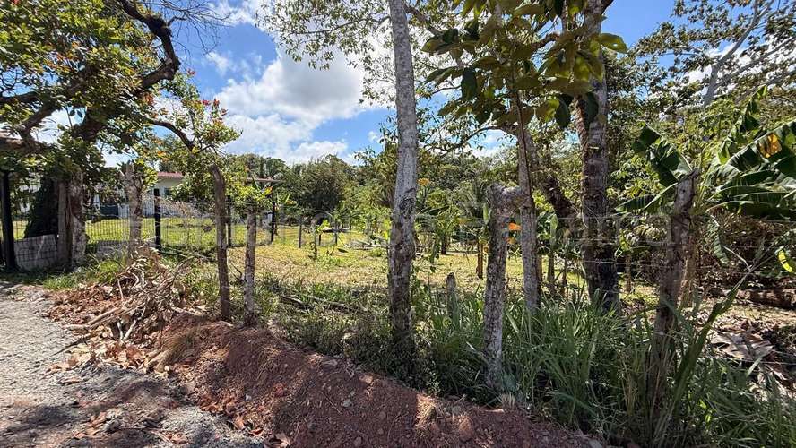 Venta de Terreno en Chorrera 26MGO7221 - Imagen 7