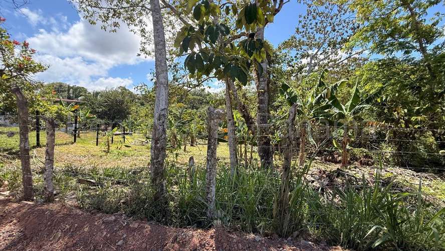 Venta de Terreno en Chorrera 26MGO7221 - Imagen 6