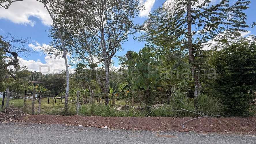 Venta de Terreno en Chorrera 26MGO7221 - Imagen 4