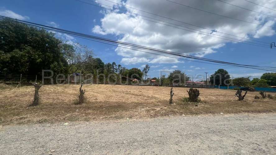 Venta de Terreno en Gorgona 26MGO6821 - Imagen 3