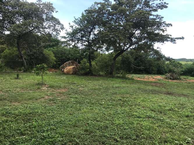 VENTA DE TERRENO EN SAN CARLOS
