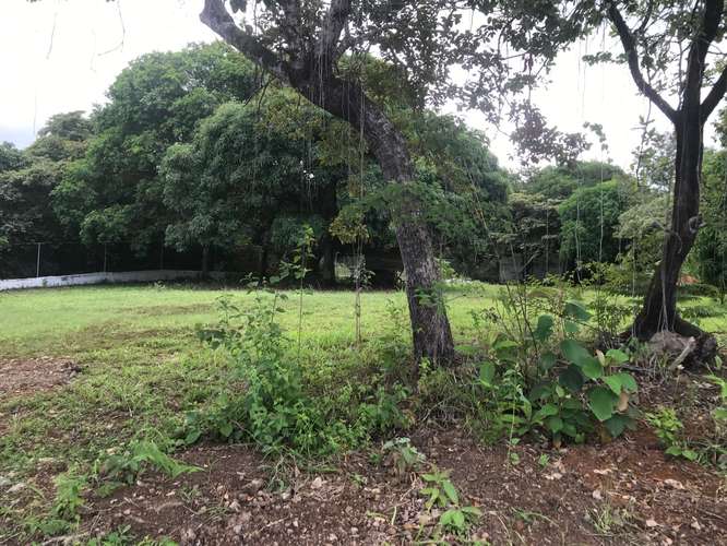 VENTA DE TERRENO EN SAN CARLOS