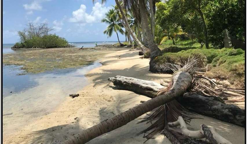 Exclusivo terreno titulado de 30 hectáreas en Portobelo, Colón, con frente y vista al mar.