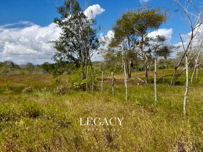 Terreno en venta Bajo Grande via a La Arenosa - Imagen 11