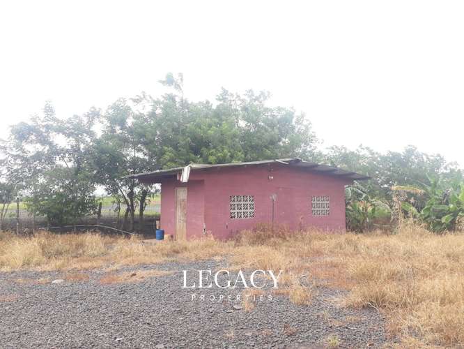 Terreno en venta Bajo Grande via a La Arenosa - Imagen 8