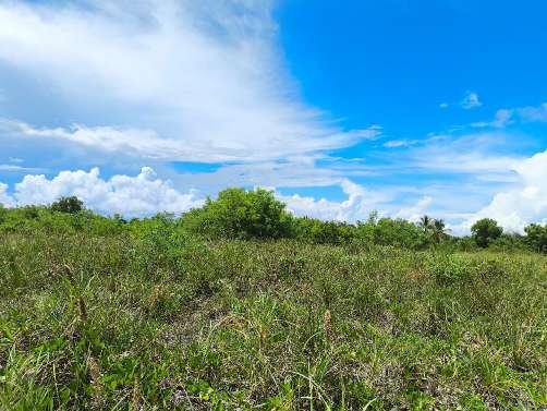 Punta Chame - Imagen 2