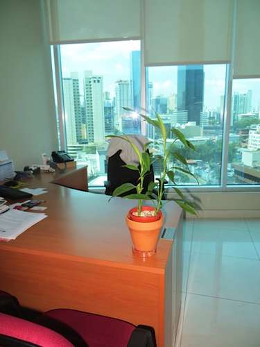 Ocean Business Plaza. 186mts 3est amoblada $2500.00 - Imagen 11