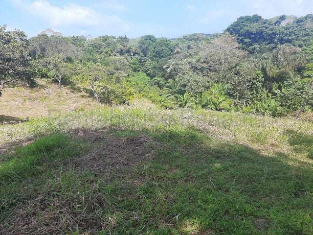 Venta de finca ganadera en Nombre de Dios 26GC5892 