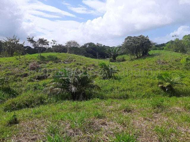 Venta de finca ganadera en Nombre de Dios 26GC5892 