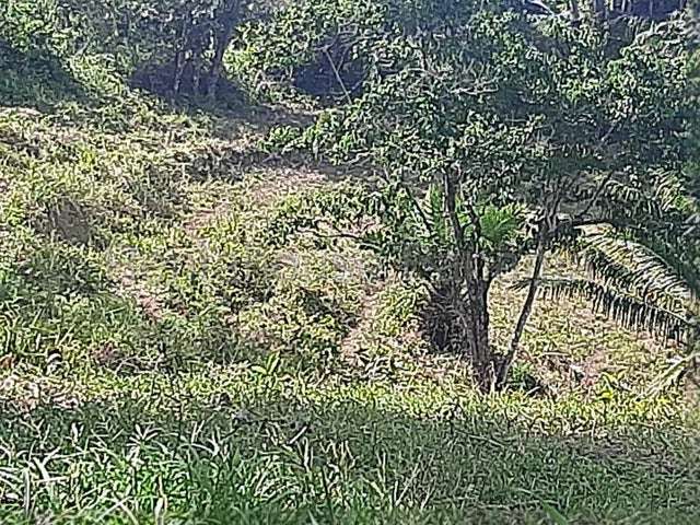 Venta de finca ganadera en Nombre de Dios 26GC5892 