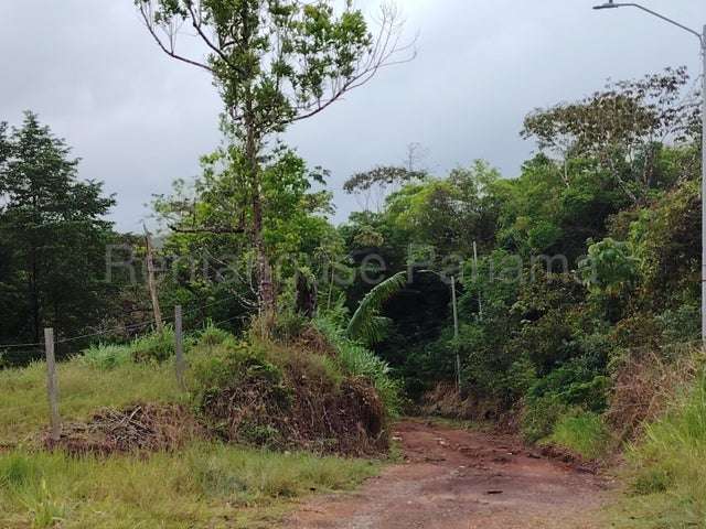 Venta de finca ganadera en Nombre de Dios 26GC5892 