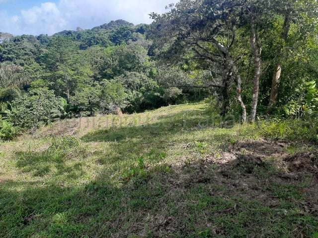 Venta de finca ganadera en Nombre de Dios 26GC5892 