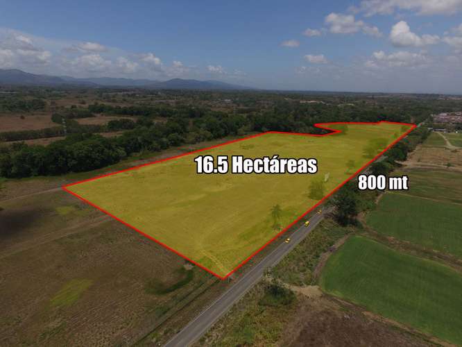 Se Vende terrenos Industriales en Felipillo-Pacora / IDEALES PARA GALERAS Y CENTROS LOGÍSTICOS - Imagen 3