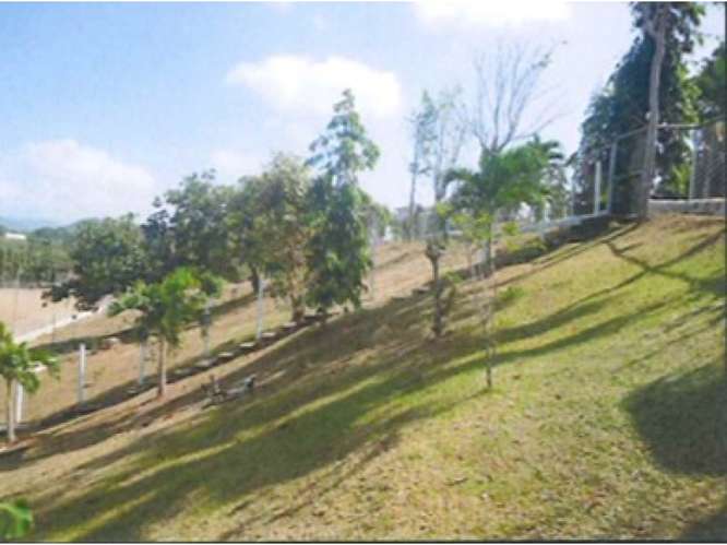 SE VENDE FINCA 1.6 HECTAREAS EN CHEPO LOMA DEL RIO CON  PISCINA - Imagen 6