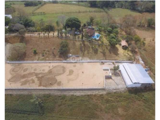 SE VENDE FINCA 1.6 HECTAREAS EN CHEPO LOMA DEL RIO CON  PISCINA - Imagen 19